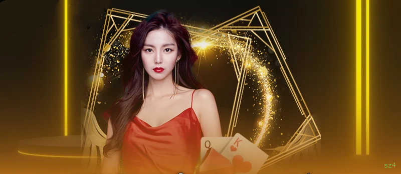 Interface do Aplicativo sz4 - Design Premium e Intuitivo